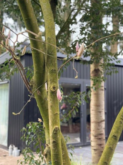 Veluwe Boutique Lodge Путен Екстериор снимка