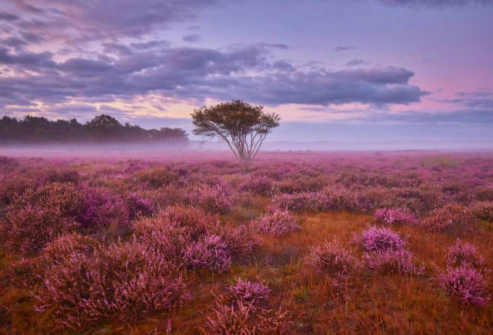Veluwe Boutique Lodge Путен Екстериор снимка